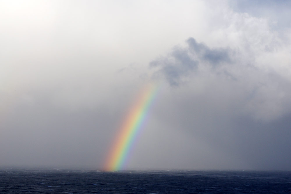 Navigating Japan: Understanding Crime & Disaster Risks in 2026